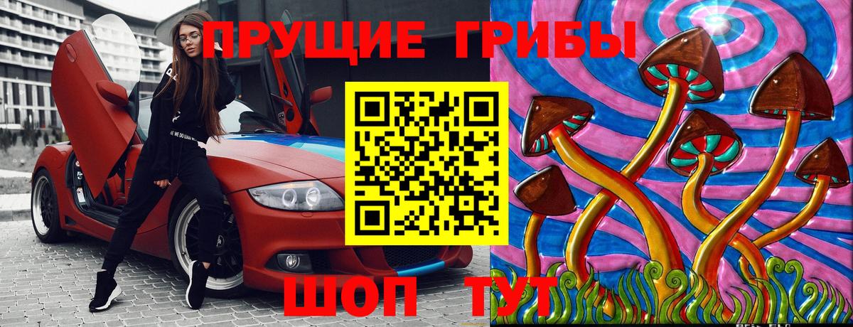 Псилоцибиновые грибы мухоморы Горячий Ключ